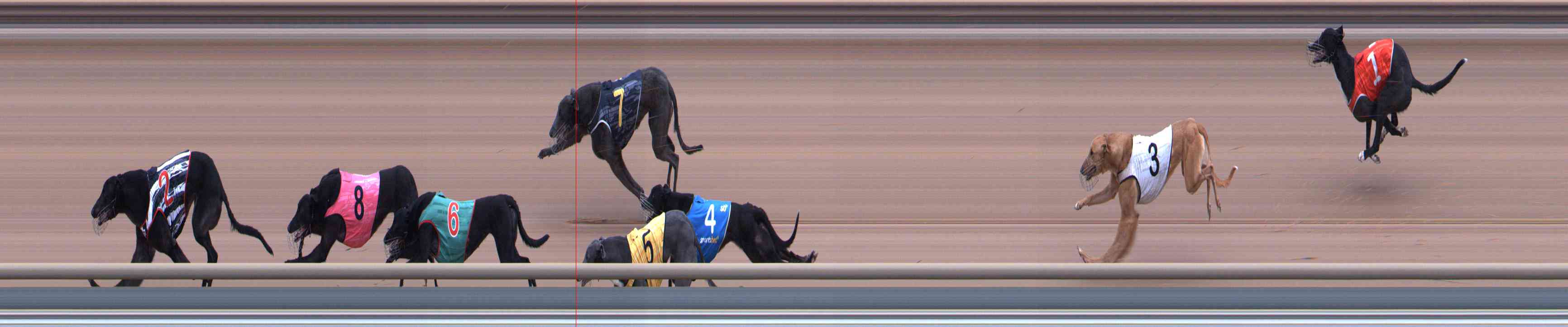 Race result finish photo